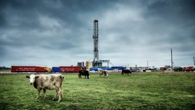 how-oil-companies-shape-local-communities-beyond-just-fuel